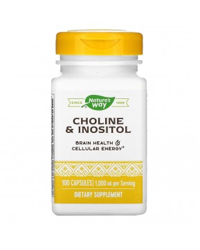 Nature's Way, холин и инозитол, 500 мг, 100 капсул Nature's Way, холин и инозитол, 500 мг, 100 капсул